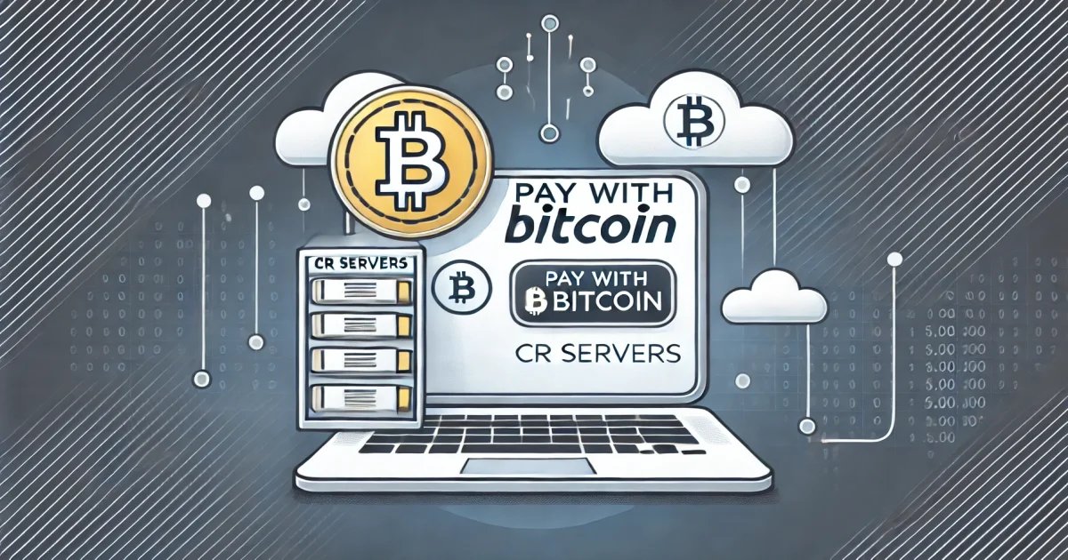 CR Servers: A Case Study in Bitcoin Adoption for Business