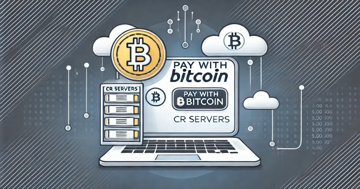 CR Servers: A Case Study in Bitcoin Adoption for Business
